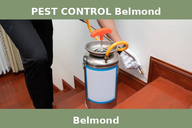 PEST CONTROL Belmond
